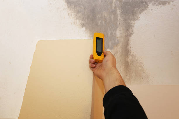 Best Mold Remediation for Rental Properties  in Thousand Oaks, CA