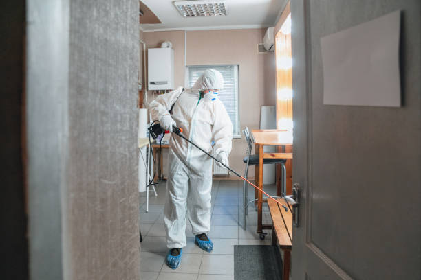 Best Attic Mold Removal  in Thousand Oaks, CA