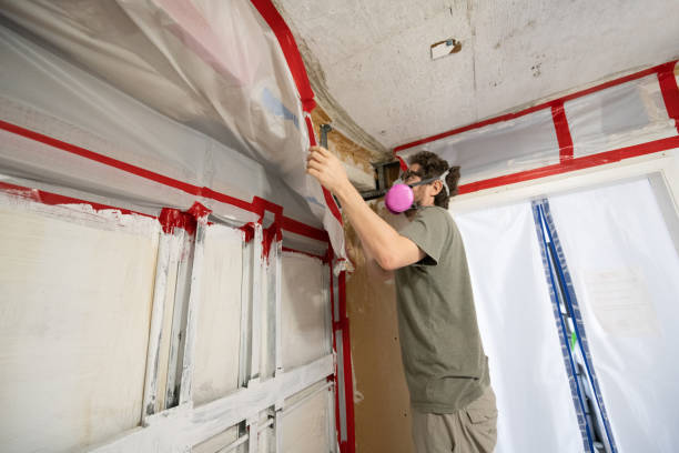 Best Indoor Air Quality Assessment  in Thousand Oaks, CA