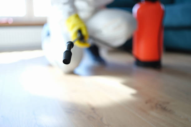 Best HVAC Mold Inspection and Cleaning  in Thousand Oaks, CA