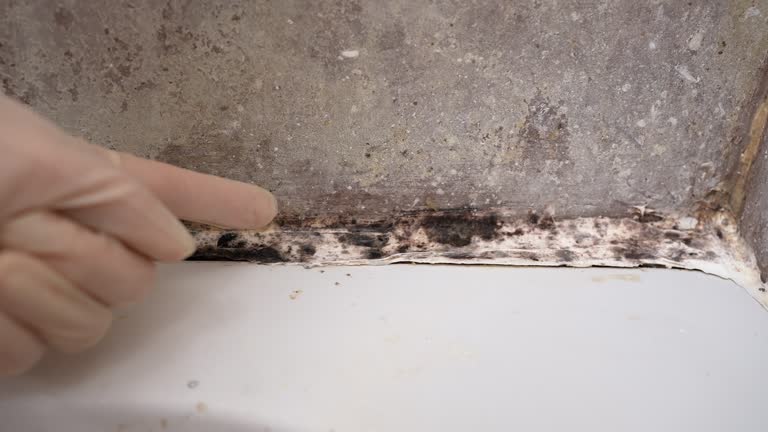 Best Water Damage & Mold Remediation  in Thousand Oaks, CA